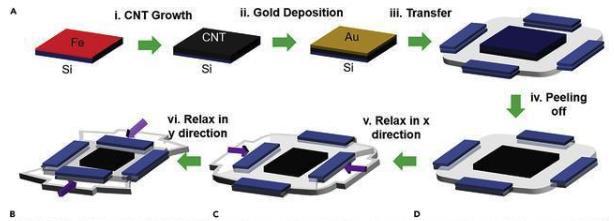 首页|尊龙人生就是博官网入口